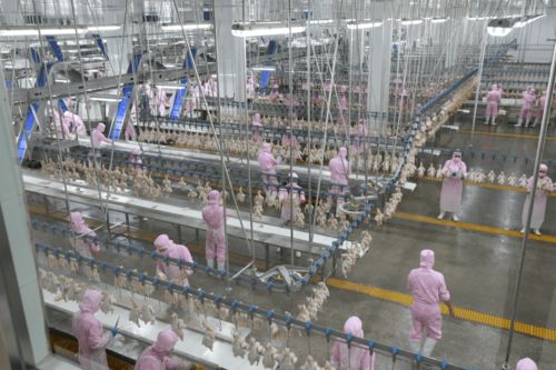 援产业扶智脱贫 促团结稳定边疆——首都国企援疆餐饮管理工作纪实